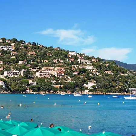 Les Iris By Interhome Apartman Le Lavandou